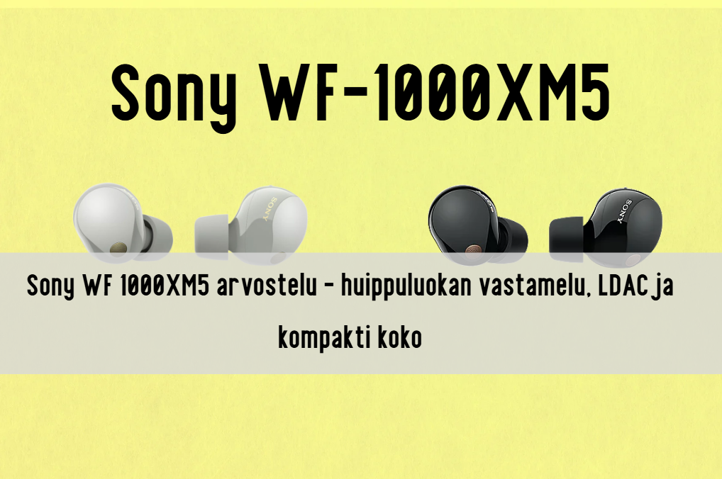 sony wf 1000xm5